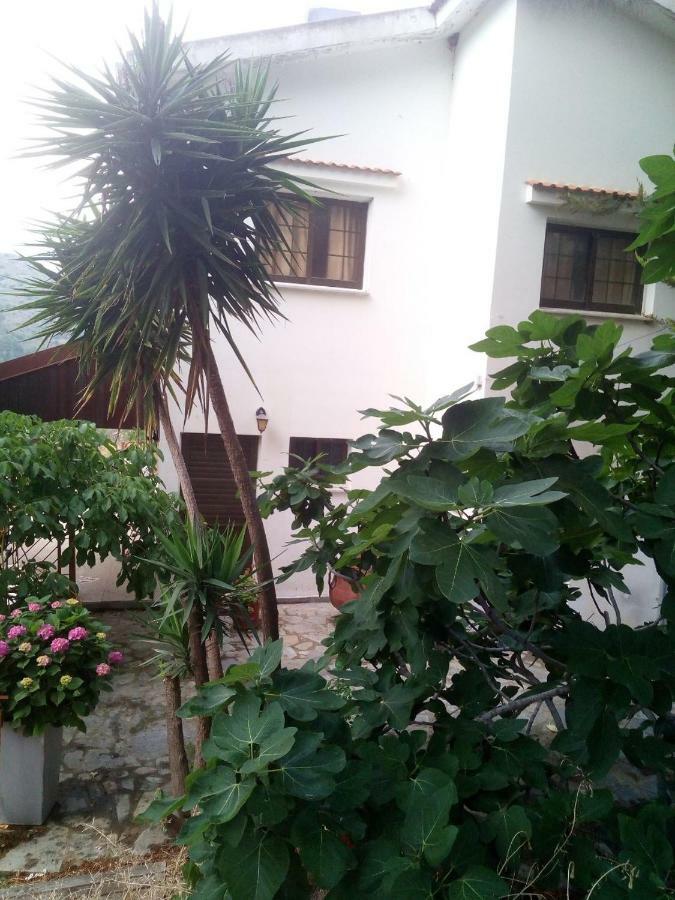 Kampi Double Storey House In The Village ニコシア エクステリア 写真